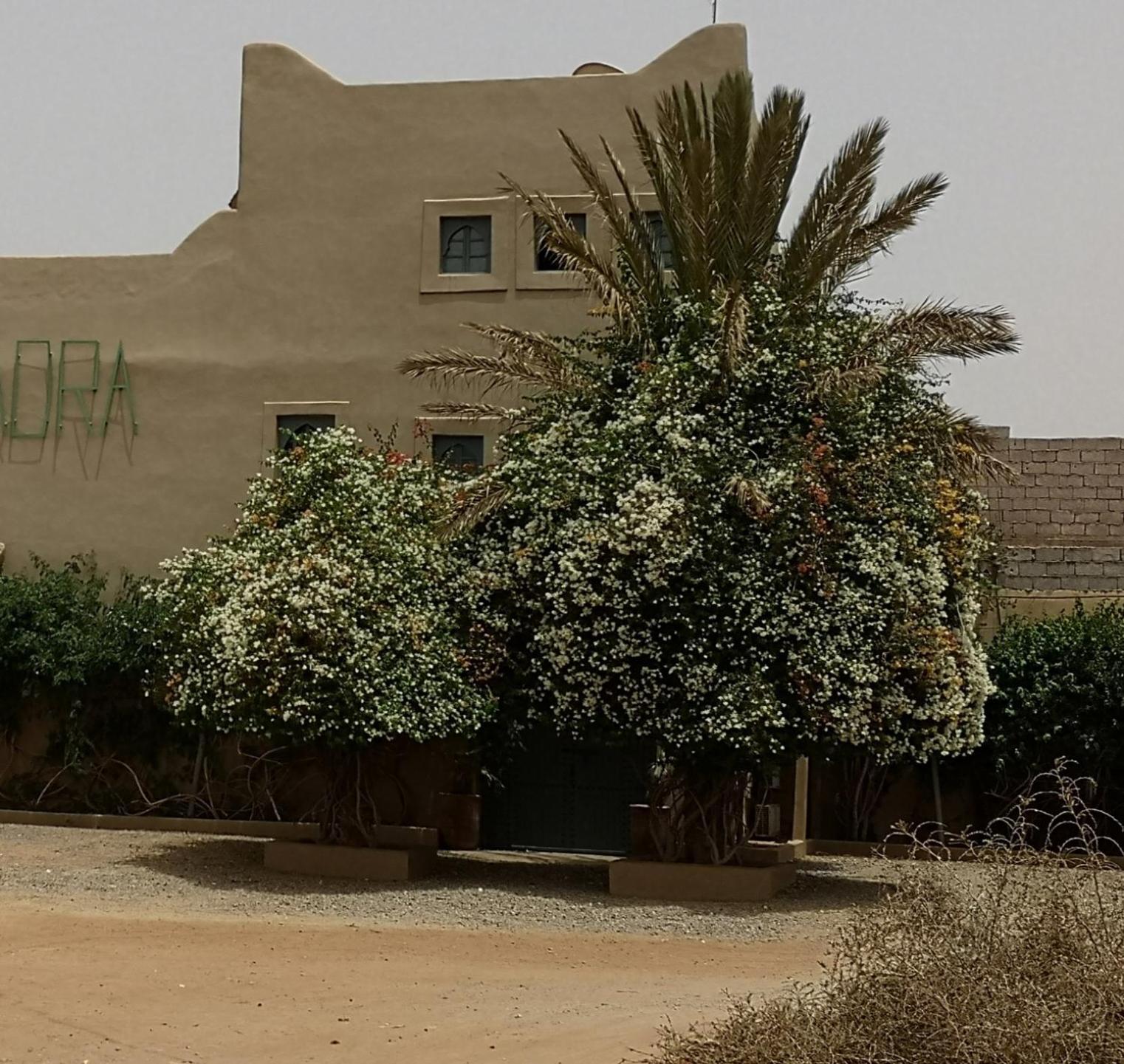 Riad Ain Khadra Taroudant Extérieur photo